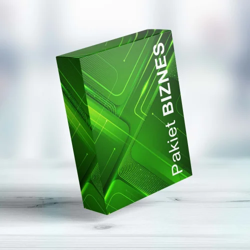 Pakiet BIZNES dla firm - branding i materiały reklamowe